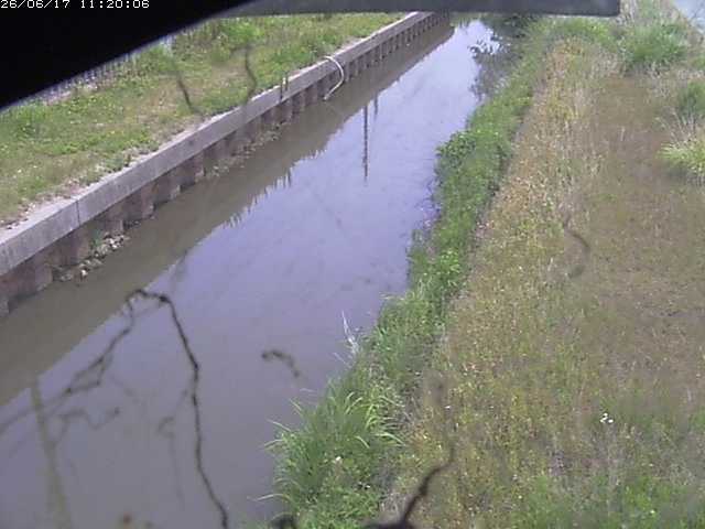 江川１2026/06/17 12:00:00