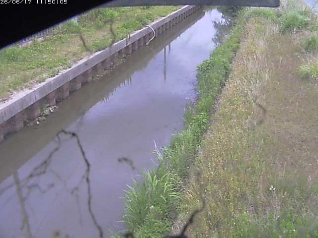 江川１2026/06/17 12:00:00