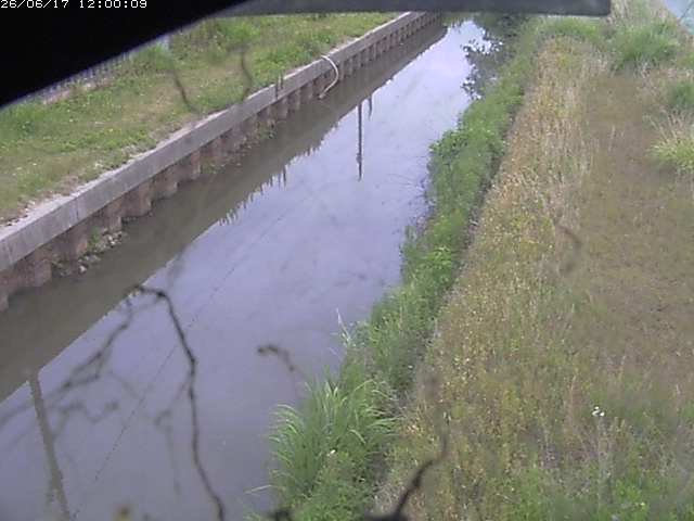江川１2026/06/17 12:00:00