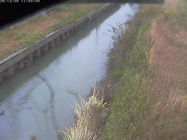 江川１2025/12/08 11:30:00