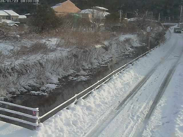 勝見川１2026/01/24 3:10:00