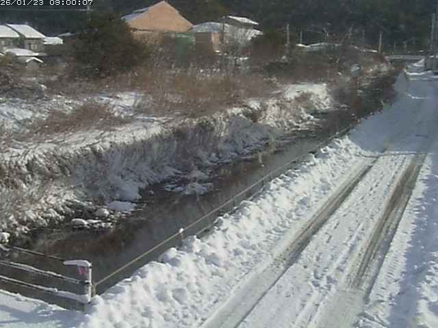 勝見川１2026/01/24 3:10:00