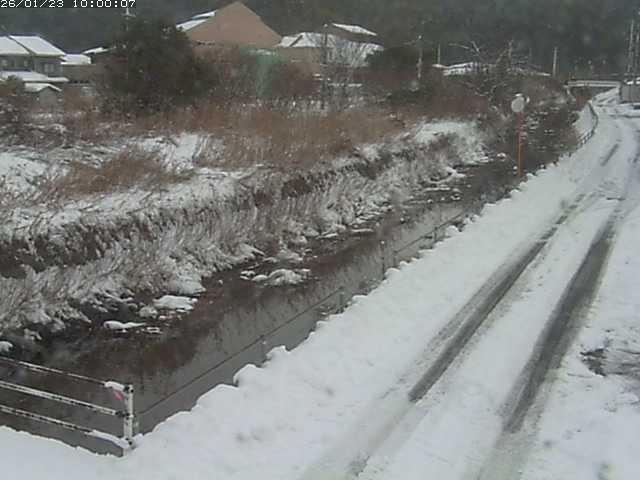 勝見川１2026/01/24 3:10:00