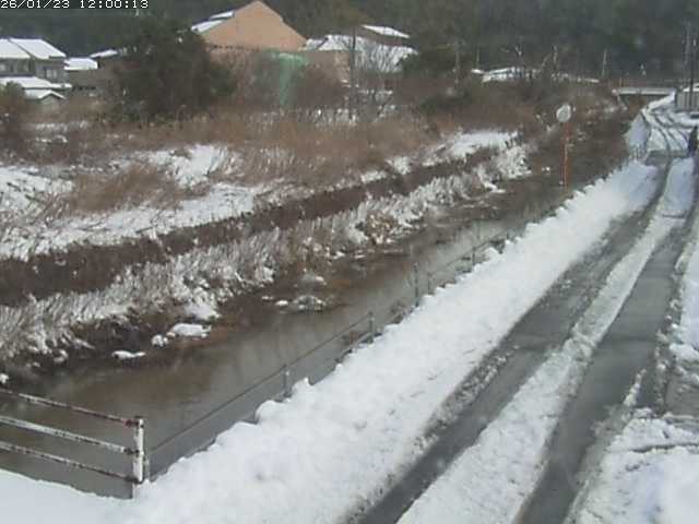 勝見川１2026/01/24 3:10:00