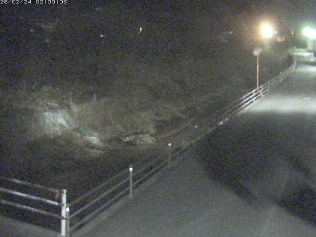 勝見川１2026/02/25 2:30:00