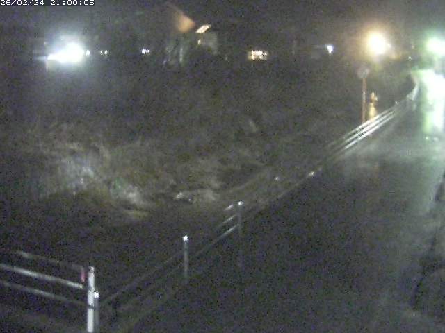 勝見川１2026/02/25 2:30:00