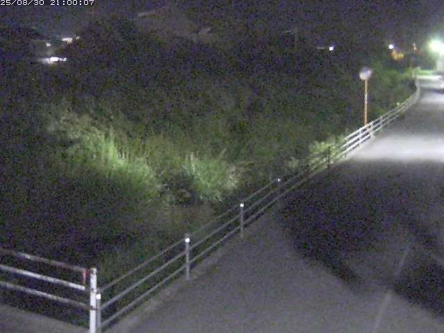 勝見川１2025/08/31 9:10:00
