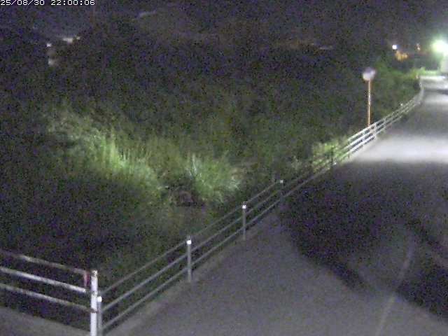 勝見川１2025/08/31 9:10:00