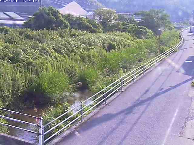 勝見川１2025/08/31 9:10:00