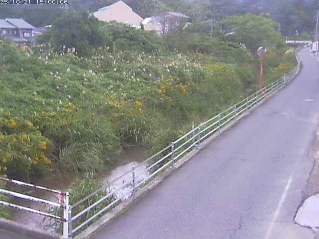 勝見川１2025/10/22 11:20:00
