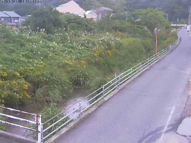 勝見川１2025/10/22 11:20:00