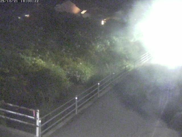 勝見川１2025/10/22 11:20:00