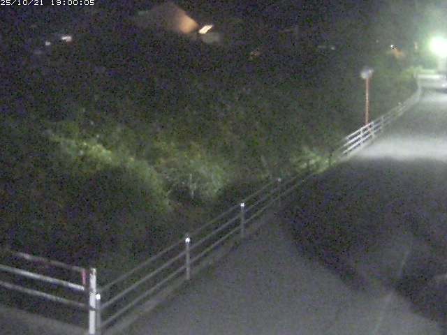 勝見川１2025/10/22 11:20:00