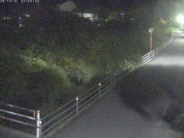 勝見川１2025/10/22 11:20:00
