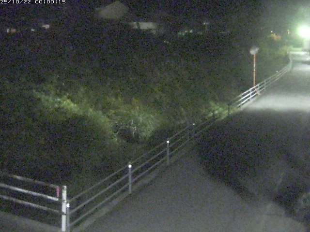 勝見川１2025/10/22 11:20:00