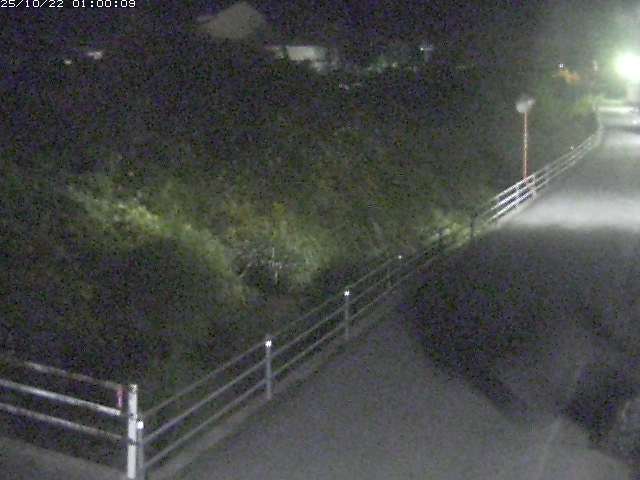 勝見川１2025/10/22 11:20:00