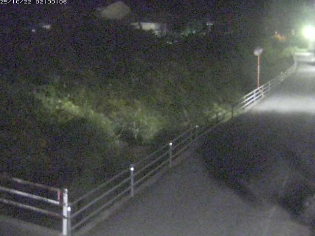 勝見川１2025/10/22 11:20:00