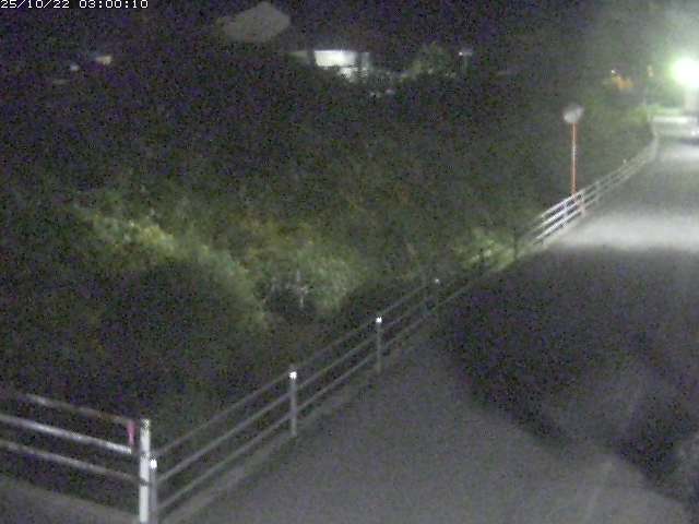 勝見川１2025/10/22 11:20:00