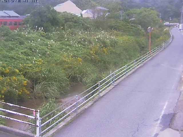 勝見川１2025/10/22 11:20:00