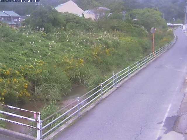 勝見川１2025/10/22 11:20:00