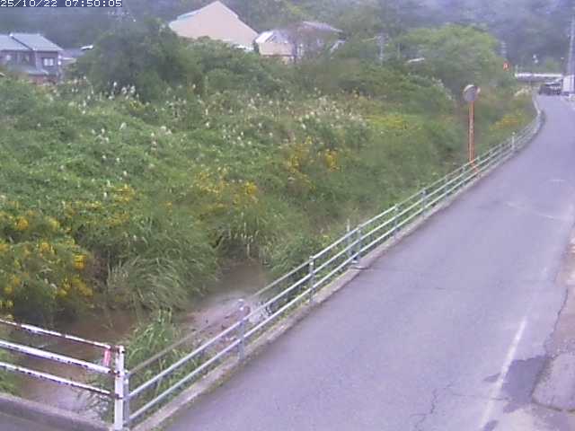 勝見川１2025/10/22 11:20:00