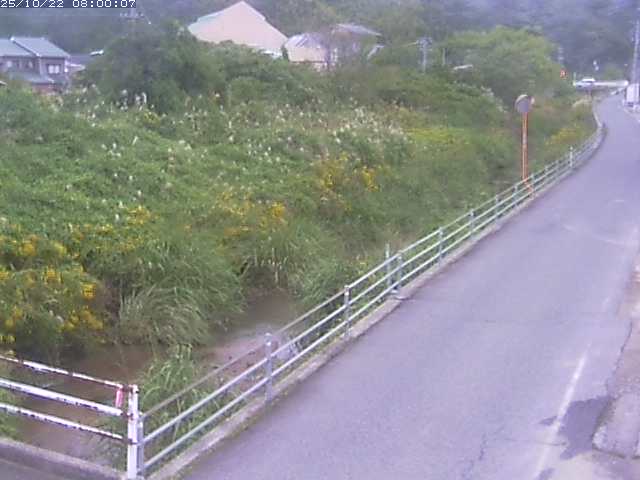 勝見川１2025/10/22 11:20:00