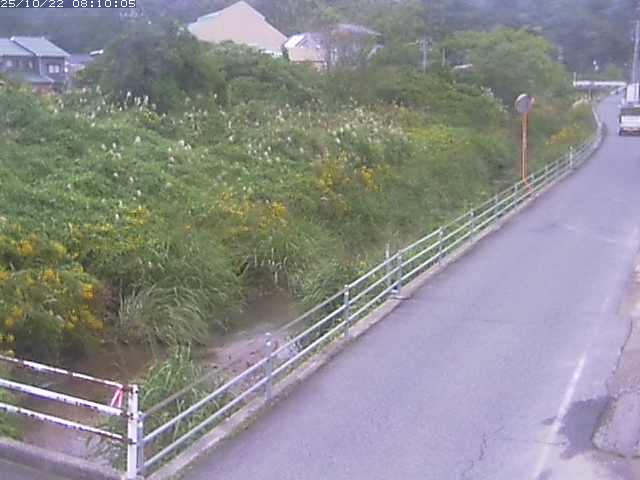 勝見川１2025/10/22 11:20:00