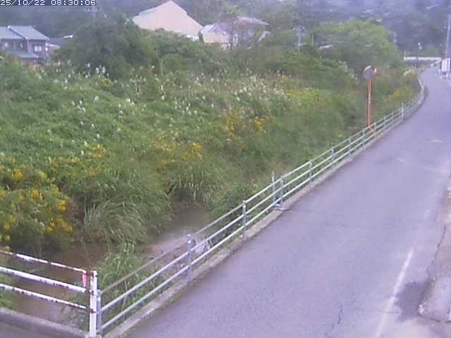 勝見川１2025/10/22 11:20:00