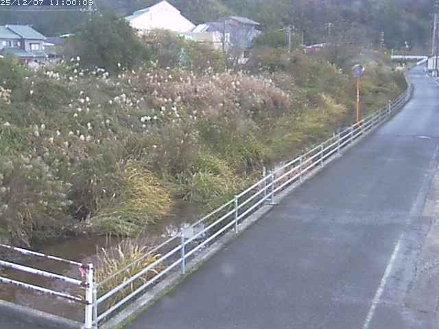 勝見川１2025/12/08 11:30:00