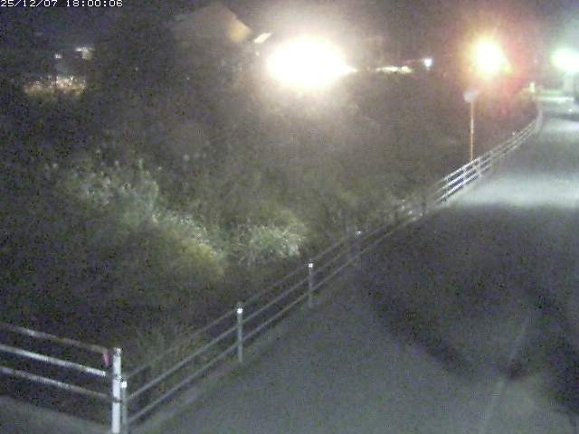 勝見川１2025/12/08 11:30:00