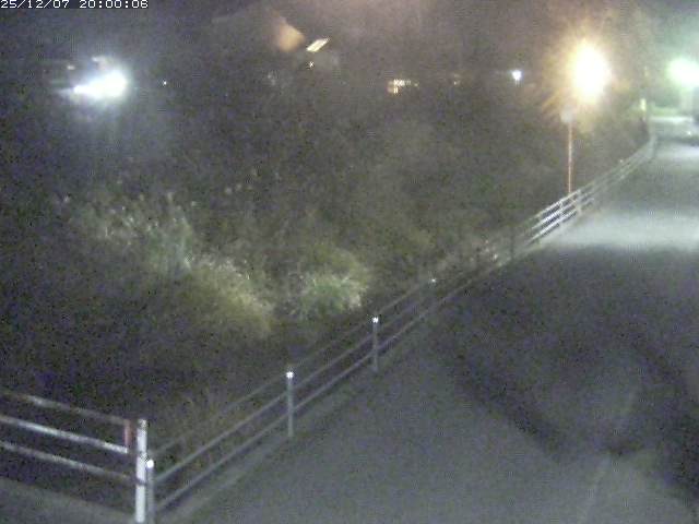 勝見川１2025/12/08 11:30:00