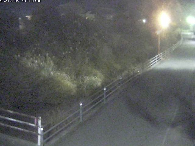 勝見川１2025/12/08 11:30:00