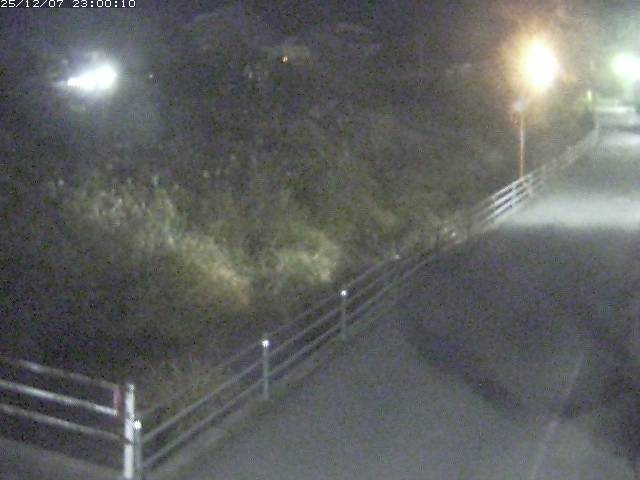 勝見川１2025/12/08 11:30:00