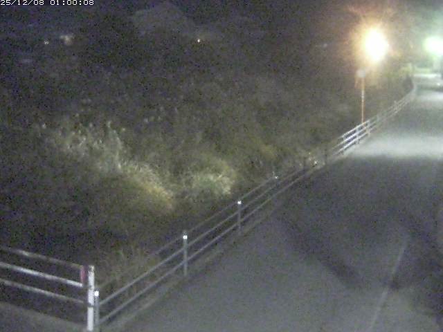 勝見川１2025/12/08 11:30:00