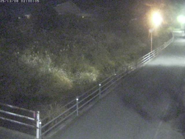 勝見川１2025/12/08 11:30:00