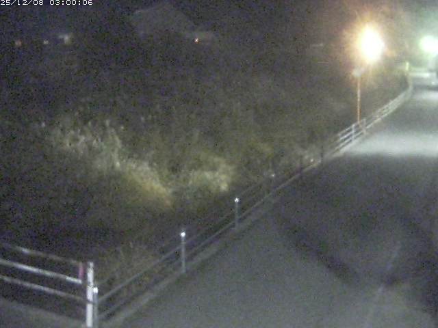 勝見川１2025/12/08 11:30:00