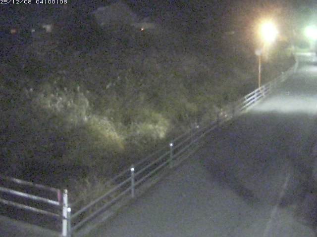 勝見川１2025/12/08 11:30:00