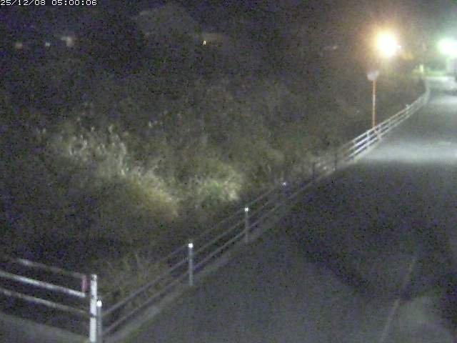 勝見川１2025/12/08 11:30:00