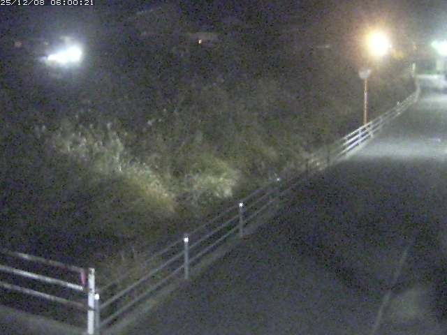 勝見川１2025/12/08 11:30:00