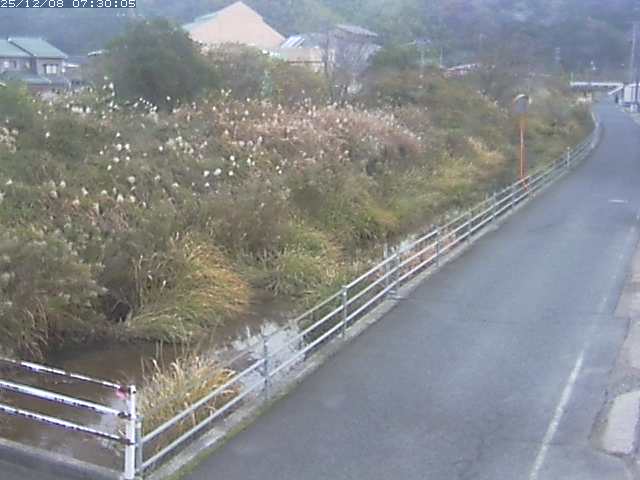 勝見川１2025/12/08 11:30:00