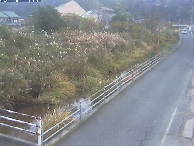 勝見川１2025/12/08 11:30:00