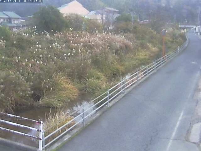 勝見川１2025/12/08 11:30:00