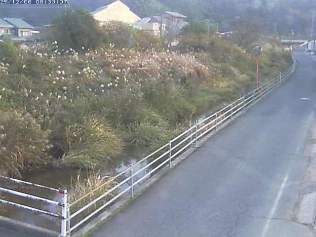 勝見川１2025/12/08 11:30:00