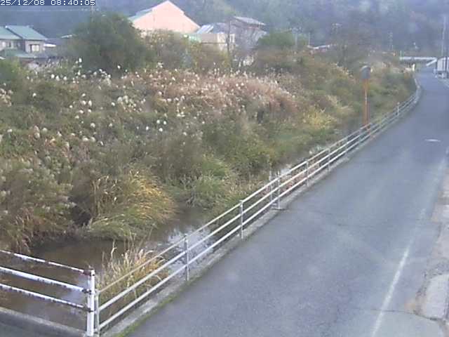 勝見川１2025/12/08 11:30:00