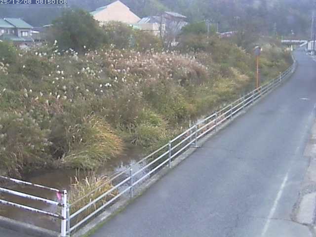 勝見川１2025/12/08 11:30:00