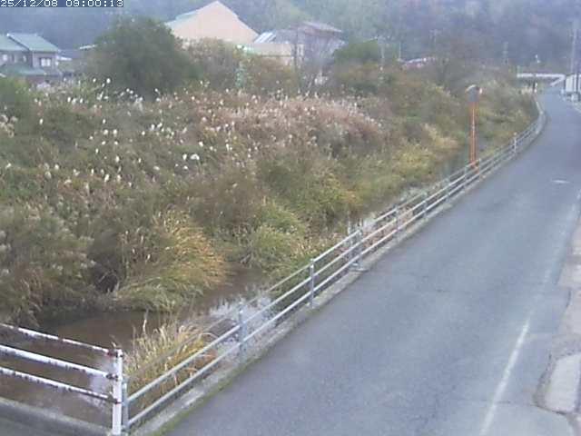 勝見川１2025/12/08 11:30:00