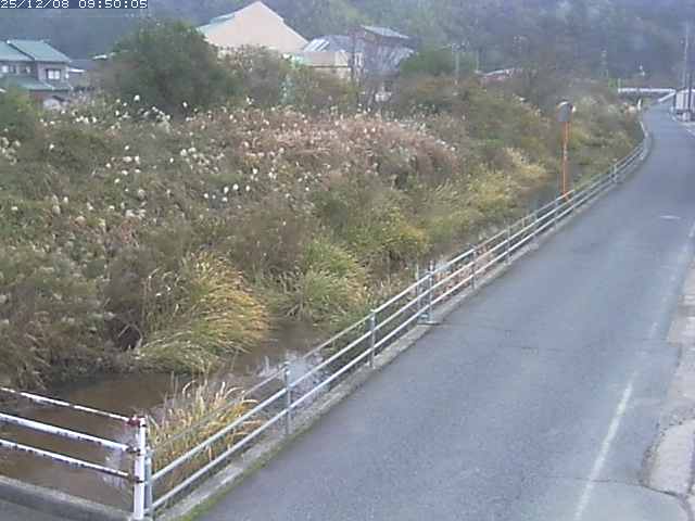 勝見川１2025/12/08 11:30:00