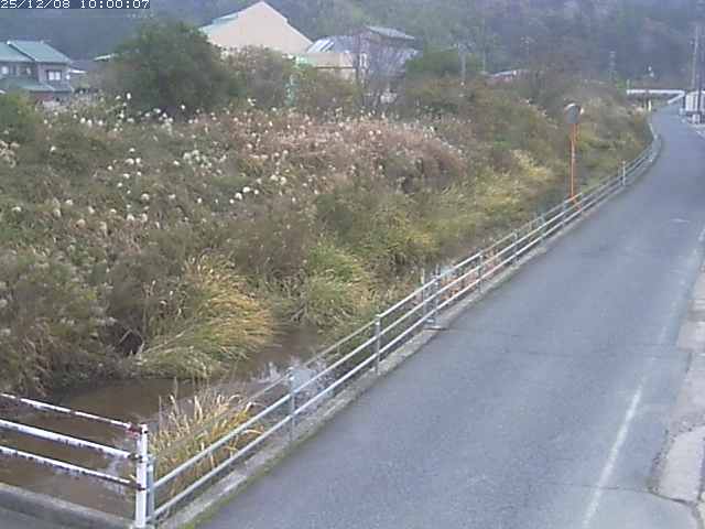 勝見川１2025/12/08 11:30:00