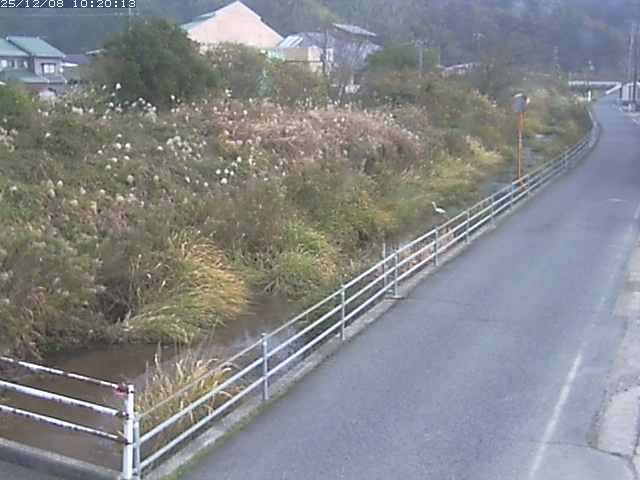 勝見川１2025/12/08 11:30:00