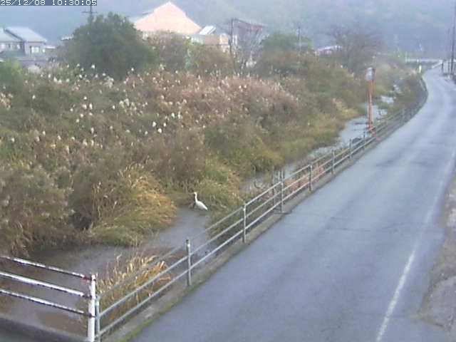 勝見川１2025/12/08 11:30:00